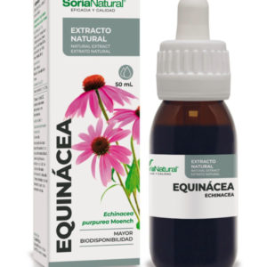 extracto equinacea soria natural