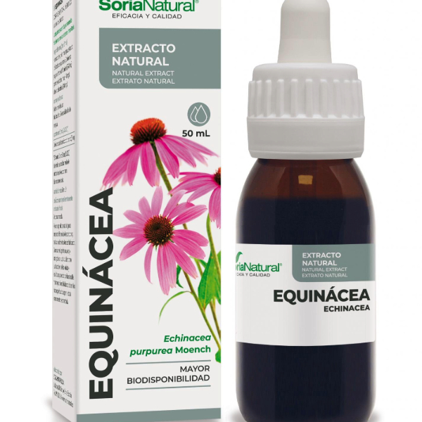 extracto-equinacea-soria-natural