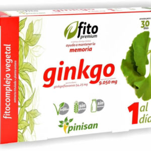 ginkgo fito premium pinisan