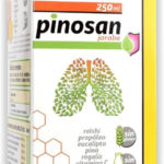 pinosan-jarabe-pinisan