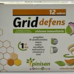 Grid Defens - Pinisan