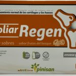 Poliar Regen - Pinisan